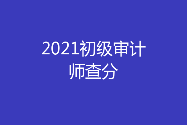 2021初级审计师查分