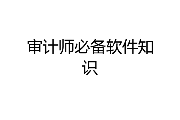 审计师必备软件知识