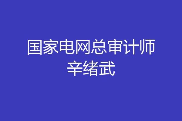 国家电网总审计师辛绪武