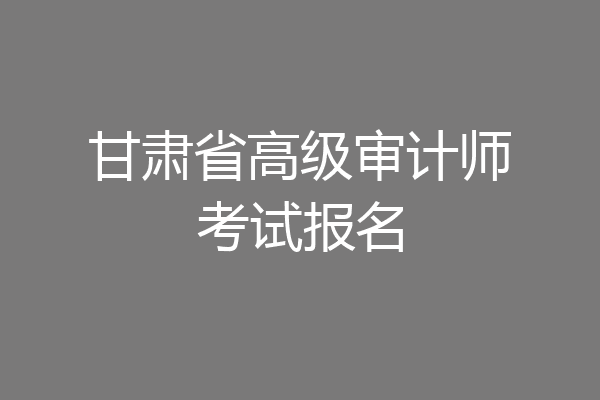 甘肃省高级审计师考试报名