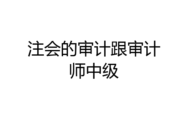 注会的审计跟审计师中级