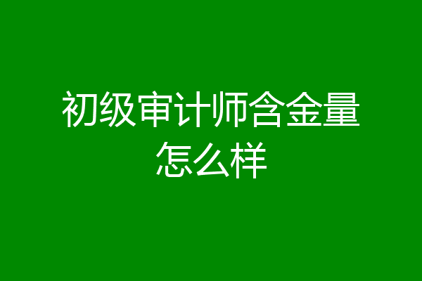 初级审计师含金量怎么样