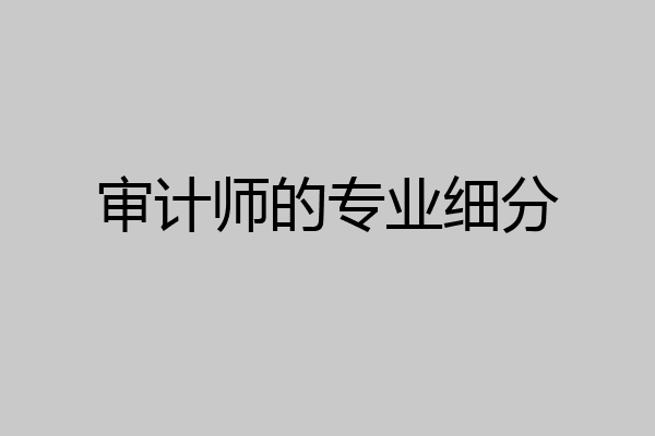 审计师的专业细分