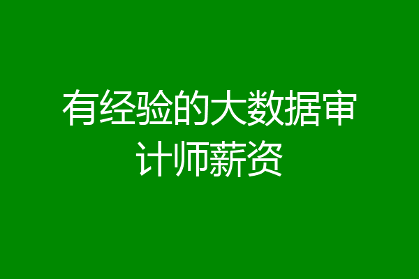 有经验的大数据审计师薪资