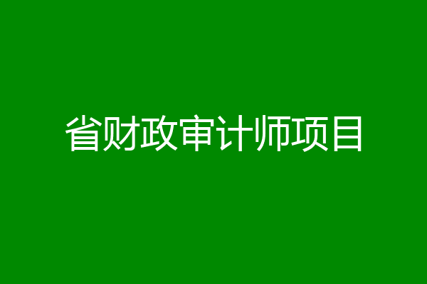 省财政审计师项目