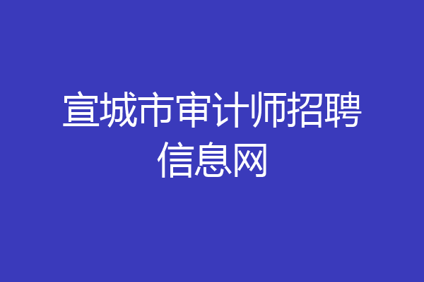 宣城市审计师招聘信息网