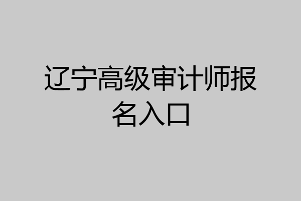 辽宁高级审计师报名入口