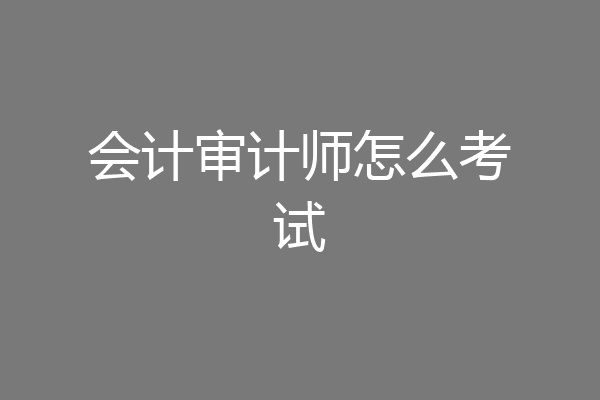会计审计师怎么考试