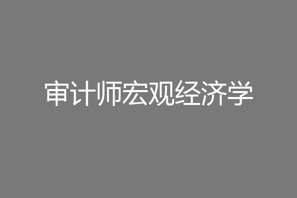 审计师宏观经济学