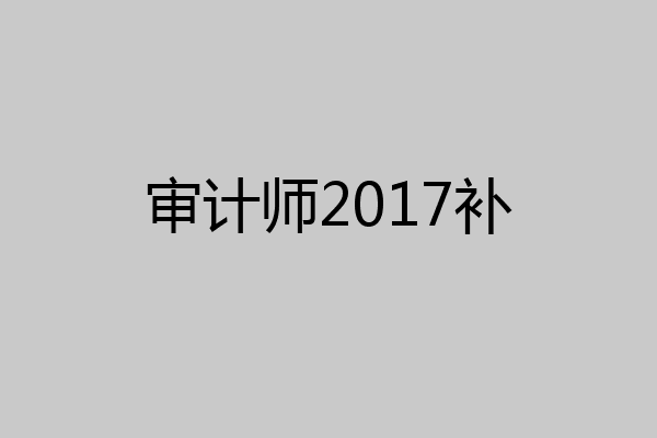 审计师2017补