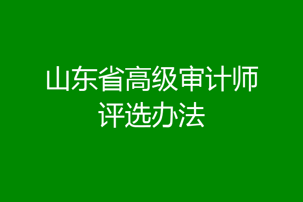 山东省高级审计师评选办法