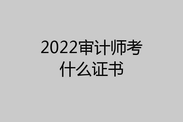 2022审计师考什么证书