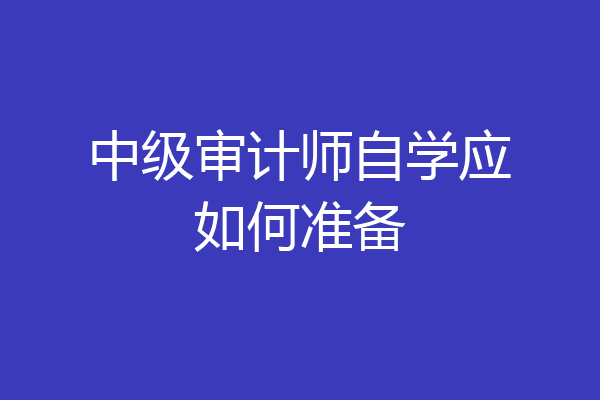 中级审计师自学应如何准备