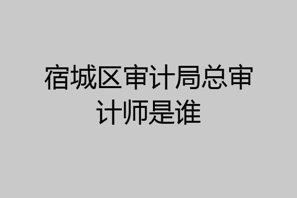 宿城区审计局总审计师是谁