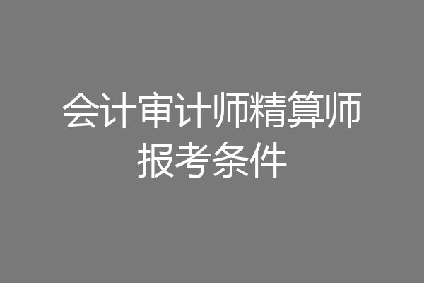 会计审计师精算师报考条件