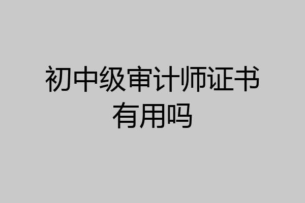 初中级审计师证书有用吗
