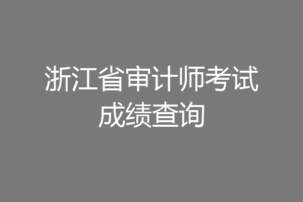 浙江省审计师考试成绩查询