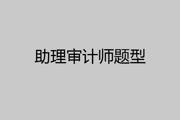 助理审计师题型