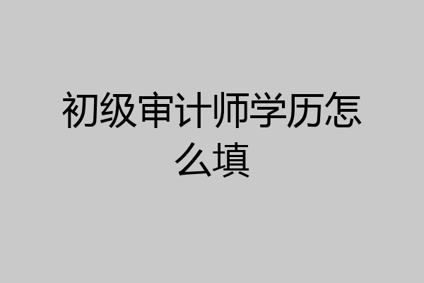 初级审计师学历怎么填