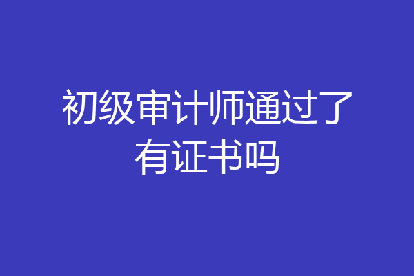 初级审计师通过了有证书吗