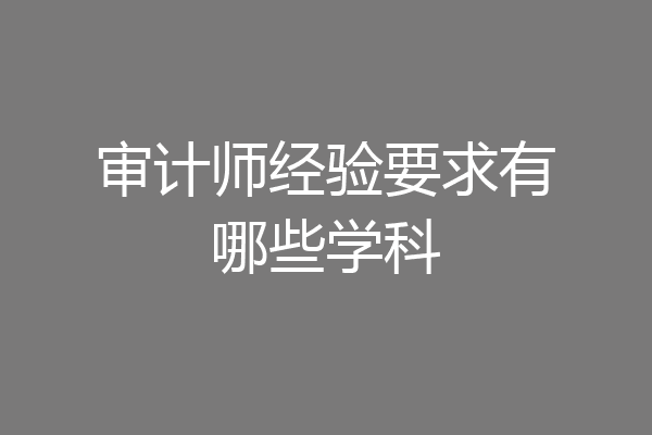 审计师经验要求有哪些学科