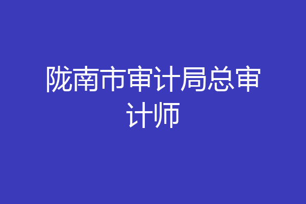 陇南市审计局总审计师