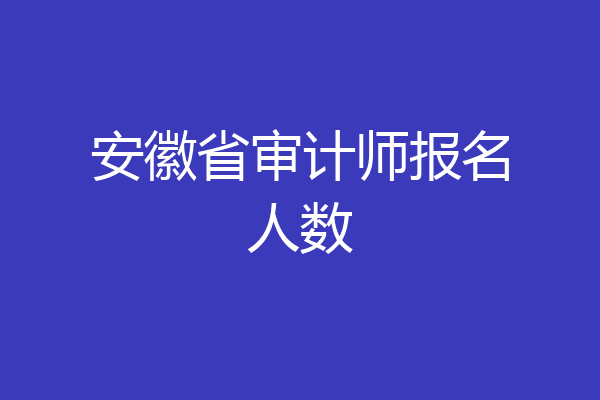 安徽省审计师报名人数