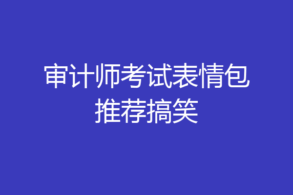 审计师考试表情包推荐搞笑