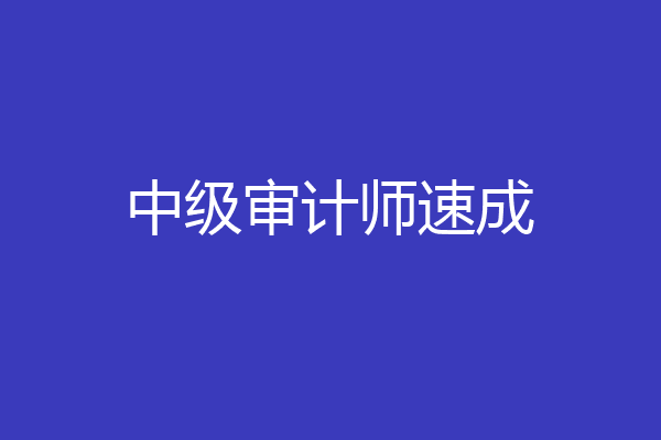 中级审计师速成