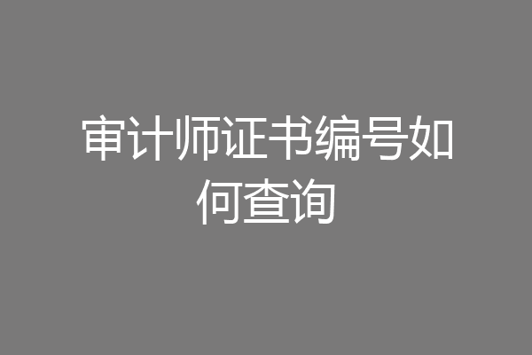 审计师证书编号如何查询