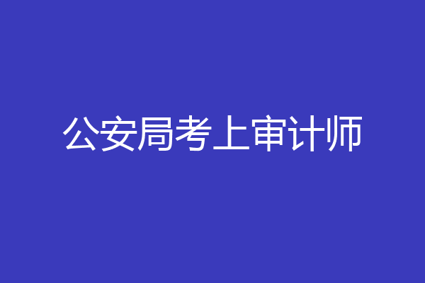 公安局考上审计师