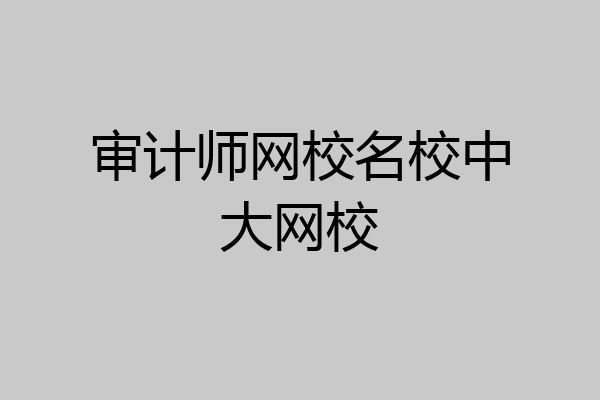审计师网校名校中大网校
