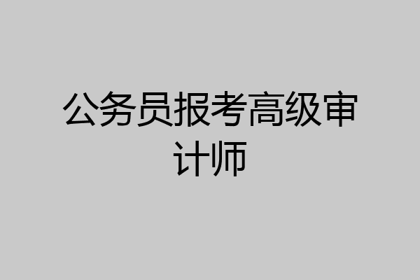公务员报考高级审计师