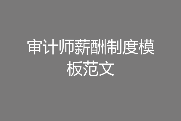 审计师薪酬制度模板范文