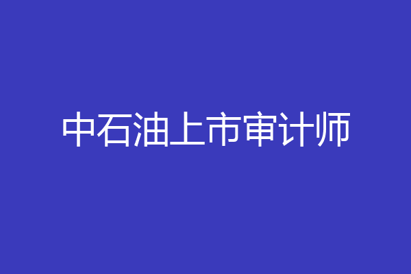 中石油上市审计师