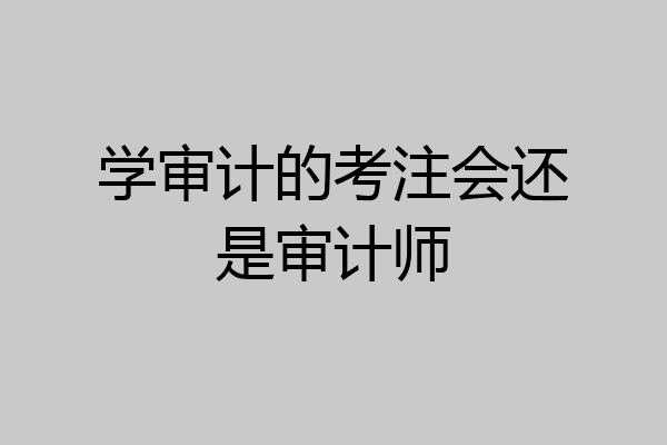 学审计的考注会还是审计师