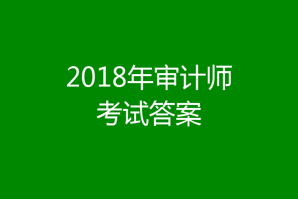 2018年审计师考试答案