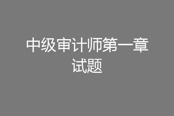 中级审计师第一章试题