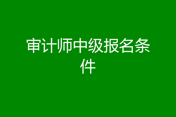 审计师中级报名条件