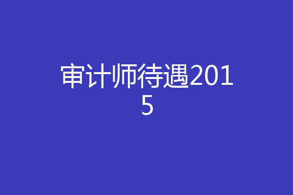 审计师待遇2015