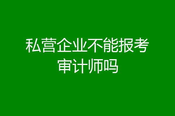 私营企业不能报考审计师吗