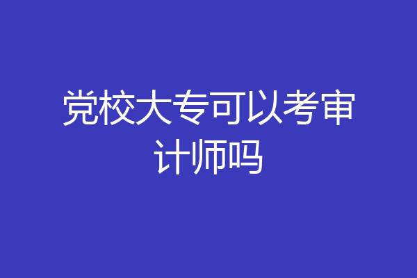 党校大专可以考审计师吗
