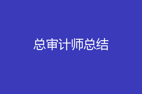 总审计师总结