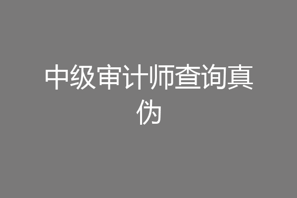 中级审计师查询真伪