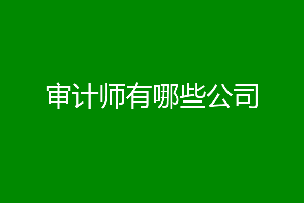 审计师有哪些公司