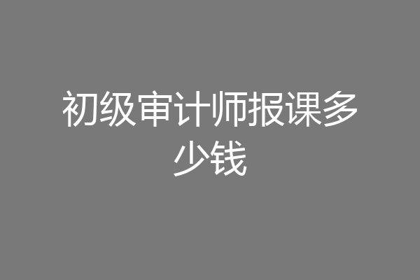 初级审计师报课多少钱