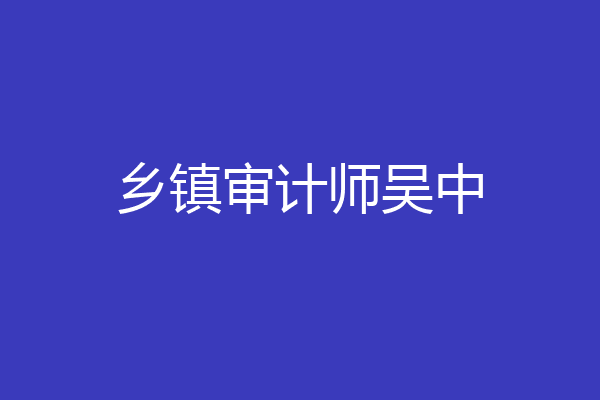 乡镇审计师吴中