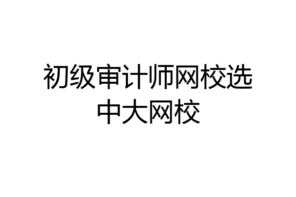 初级审计师网校选中大网校