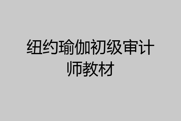纽约瑜伽初级审计师教材