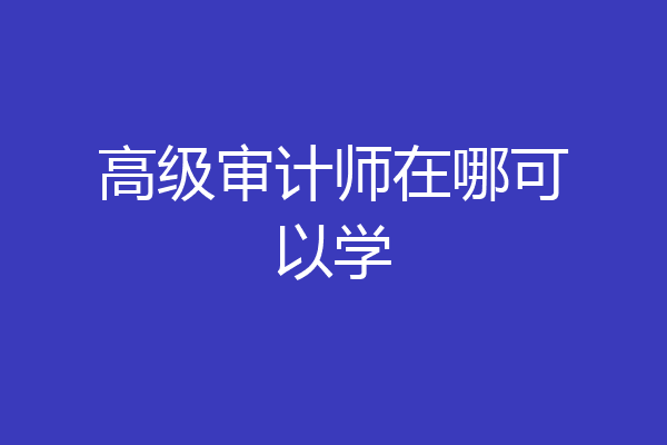 高级审计师在哪可以学